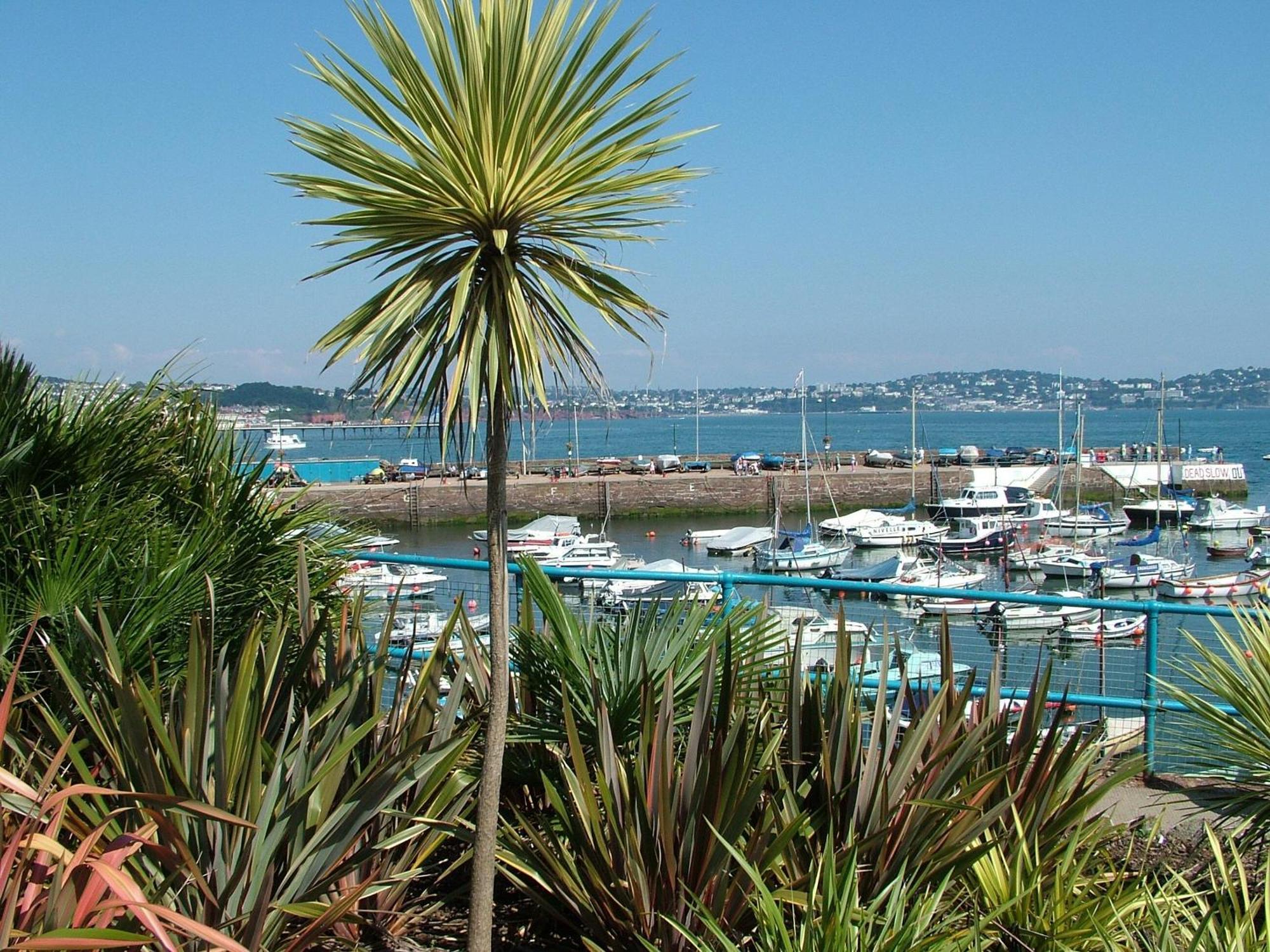 8 Belvedere Court Paignton Kültér fotó